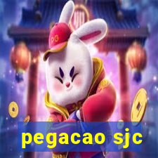 pegacao sjc